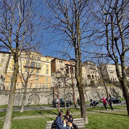 Dolce Notti